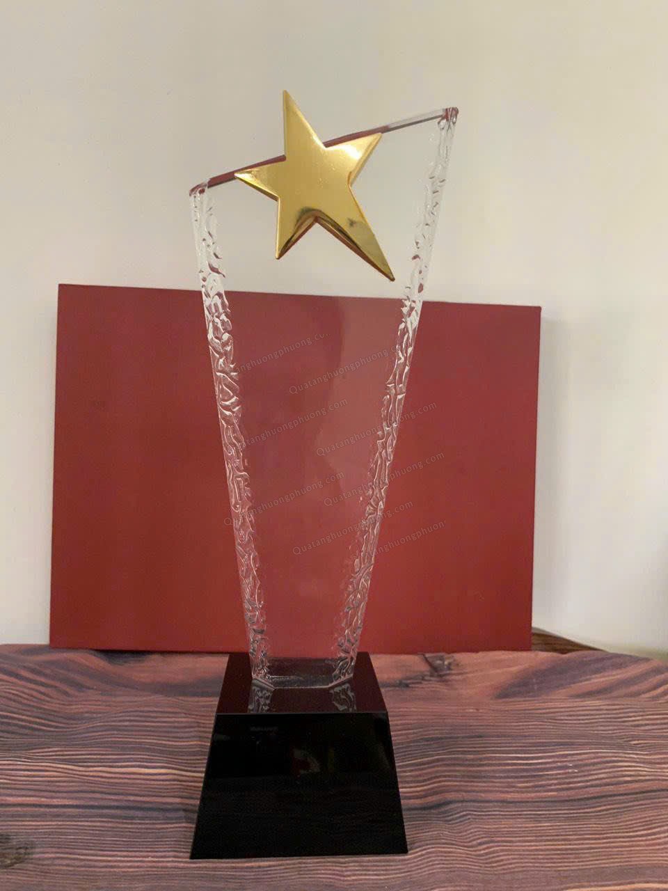 Cúp hd1